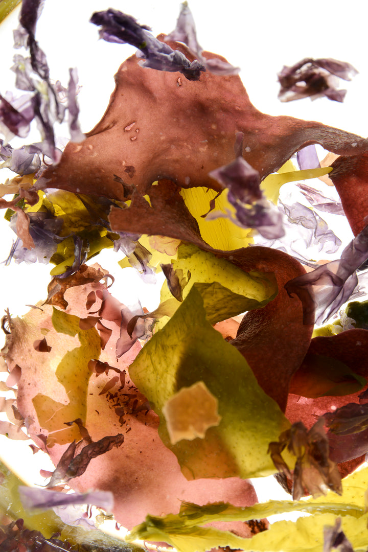 Stock & Save on your Seaweeds